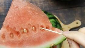 吃瓜少女分享视频,一场视觉盛宴背后的故事