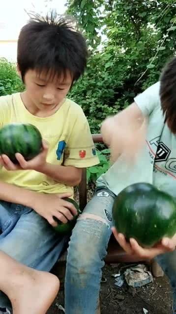 各种吃瓜表演视频,短视频中的趣味与争议