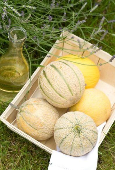 二瓜怎么吃才好吃视频播放,跟随视频学习最佳食用技巧