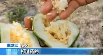 昨天镇平吃瓜视频曝光,揭秘当地风俗美食背后的故事