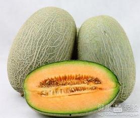 博美吃哈密瓜吗好吗视频,美味还是禁忌？