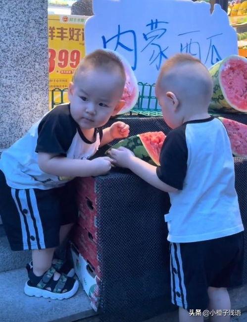 吃瓜视频双胞胎,萌态十足引网友热议