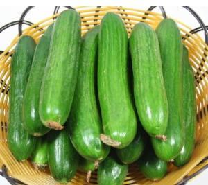 吃刺瓜搞笑视频合集下载,欢乐无限下载中  第3张