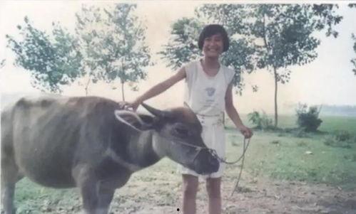 农村放牛吃瓜视频大全,农村放牛吃瓜欢乐时光大盘点 第3张 农村放牛吃瓜视频大全,农村放牛吃瓜欢乐时光大盘点 第3张