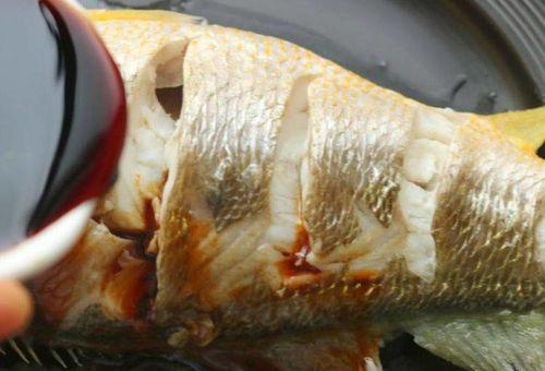 糟瓜鱼小朋友可以吃吗视频,安全与营养并重  第1张