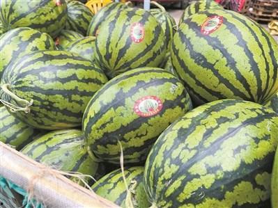 吃最贵的瓜视频  第3张