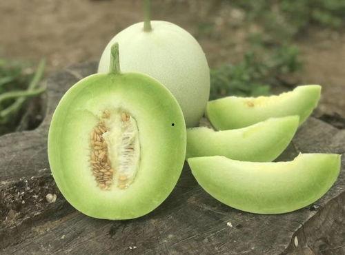 玉菇瓜怎么切方便吃视频