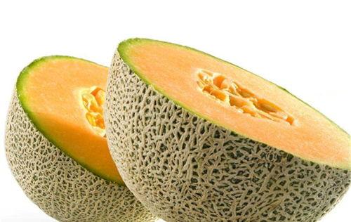 西昌十七度吃瓜视频,揭秘网红吃瓜视频背后的故事