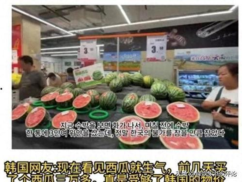 吃瓜国外博主视频大全集  第3张