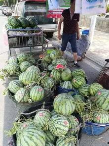 酉阳吃瓜事件视频最新,揭秘背后真相与网络舆论风暴