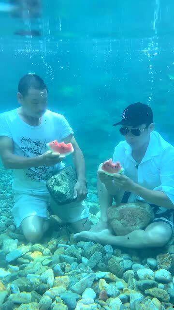 水下吃瓜视频,揭秘神秘海底的“吃瓜”瞬间  第2张